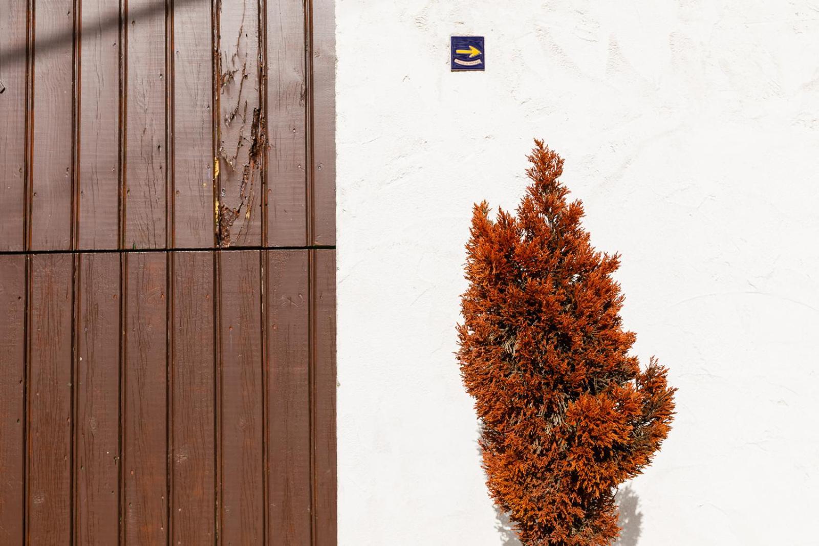 הוילה O Freixo Balcon De Brano מראה חיצוני תמונה